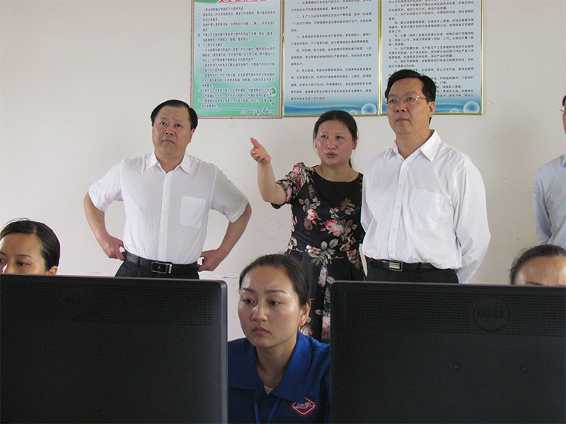 李剛市委書(shū)記調研