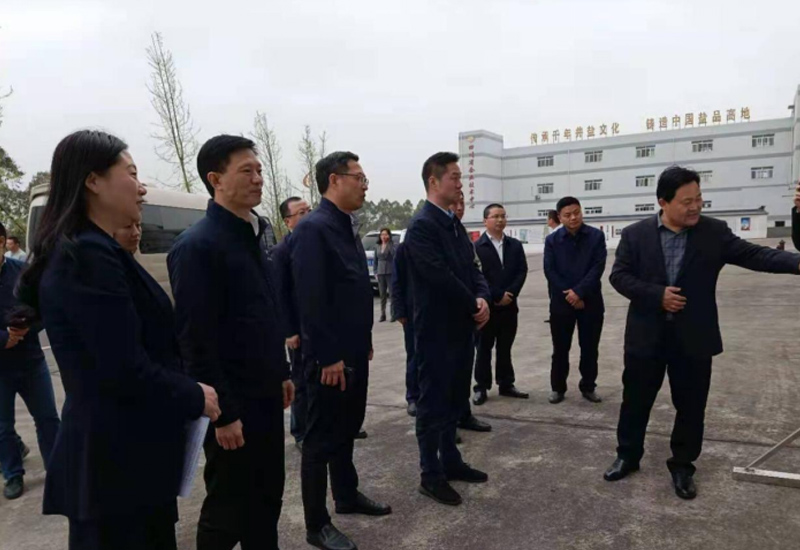 自貢市委副書(shū)記曾洪揚一行 蒞臨四川自貢馳宇鹽品有限公司調研